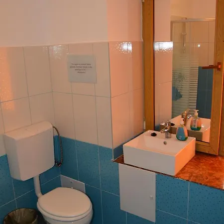 Vila Piratilor Guest house *