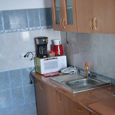 Vila Piratilor Guest house *